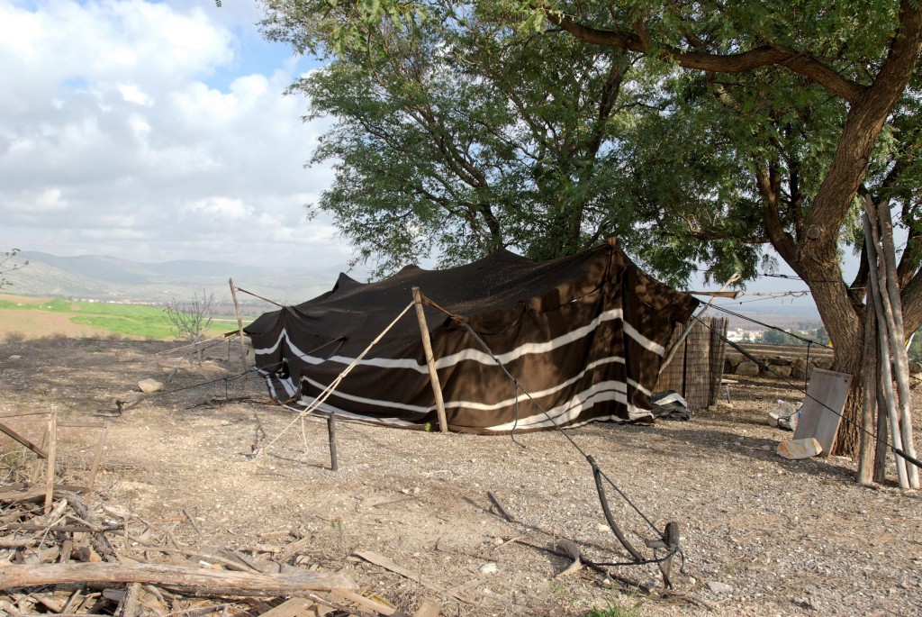 Bedouin tent at Hazor, tb011310445